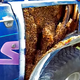 Illustration for article titled Thousands Of Bees Were Hiding Between The Body Panels Of This Truck